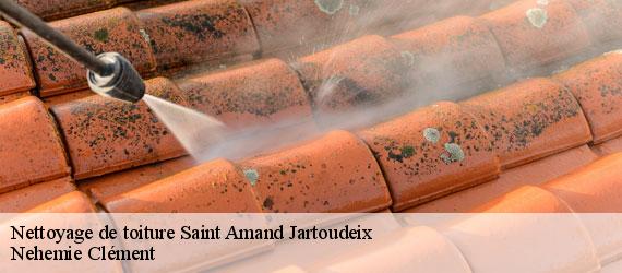 Nettoyage de toiture  saint-amand-jartoudeix-23400 Nehemie Clément 