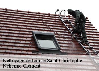 Nettoyage de toiture  saint-christophe-23000 Nehemie Clément 