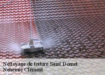 Nettoyage de toiture  saint-domet-23190 Nehemie Clément 