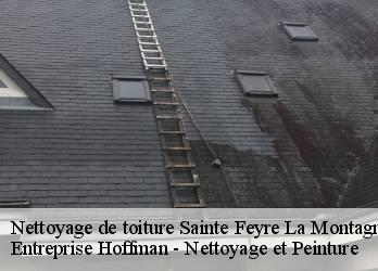 Nettoyage de toiture  23500