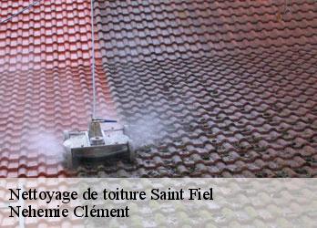 Nettoyage de toiture  saint-fiel-23000 Nehemie Clément 