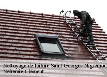 Nettoyage de toiture  saint-georges-nigremont-23500 Nehemie Clément 