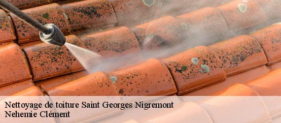 Nettoyage de toiture  saint-georges-nigremont-23500 Nehemie Clément 