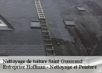 Nettoyage de toiture  23430