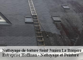 Nettoyage de toiture  23400