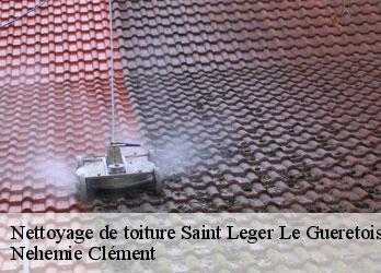Nettoyage de toiture  saint-leger-le-gueretois-23000 Nehemie Clément 