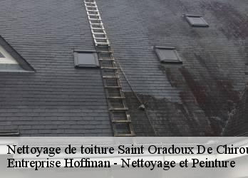 Nettoyage de toiture  23100