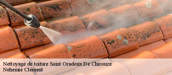 Nettoyage de toiture  saint-oradoux-de-chirouze-23100 Nehemie Clément 
