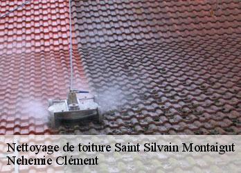 Nettoyage de toiture  saint-silvain-montaigut-23320 Nehemie Clément 