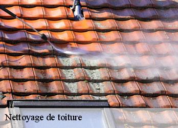 Nettoyage de toiture  vidaillat-23250 Nehemie Clément 