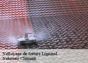Nettoyage de toiture lignaud-23360 Nehemie Clément